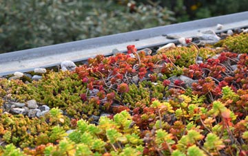 the cost of Shustoke green roof installation