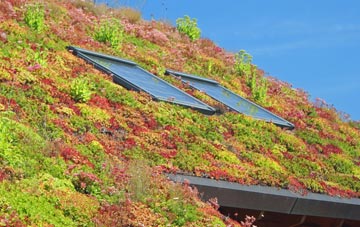 Shustoke living roof systems